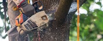 Best Soil Testing and Treatment  in Penryn, CA